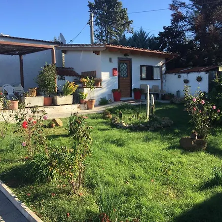 The Flower House Bed & Breakfast 3*